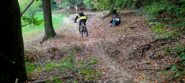 Fine giro