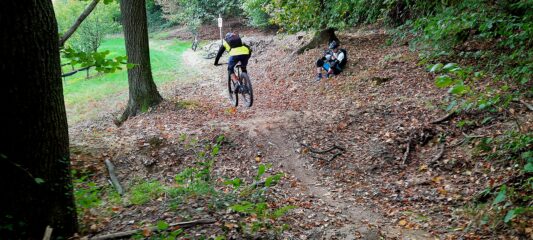Fine giro