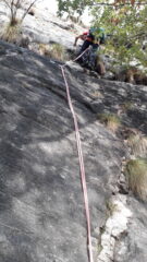 la partenza di Funky gallo..