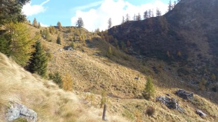 L'Alpe della Forcola 


