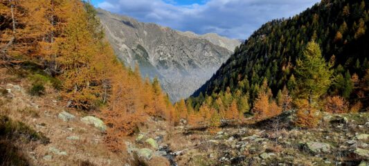 Nel vallone della Sauma
