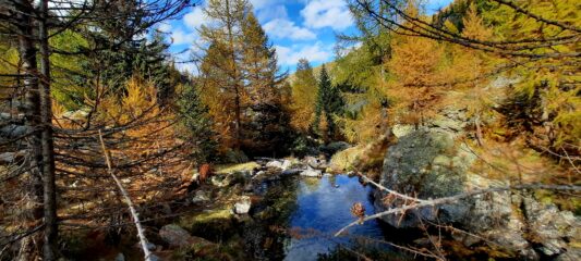Scendendo il vallone di Tesina