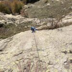 Placca in uscita di L2