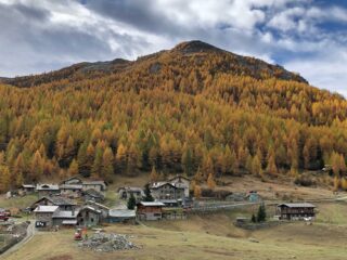 Cheneil oggi