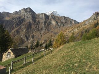 Alpe Gilardino, il Monte Leone fa capolino 
