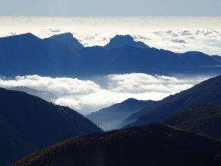 l'ombra del Toraggio