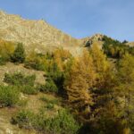 Ultimo pendio di salita (al centro)