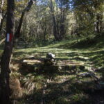 Nei pressi dell'Alpe di Piansignore