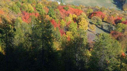 colori dell'autunno sopra Bardonecchia