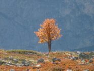 colori magici