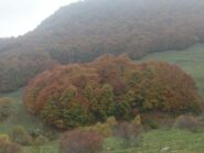ancora bei colori scendendo