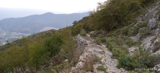 Napoleonica 