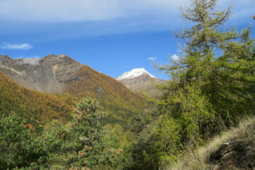 la cima del Fallere imbiancata
