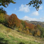 Lungo la salita: iniziano i colori autunnali