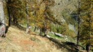 In vista dell'alpe Invers