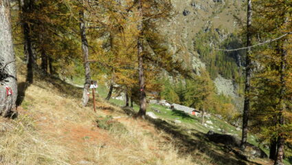 In vista dell'alpe Invers