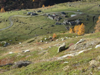 Grand'Alpe in basso