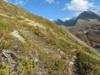 alla quota 2250m un eloquente ometto invita a lasciare il sentiero 14C ed a dirigersi in direzione NE verso il Ricovero Ten. Cucco