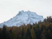 Grivola