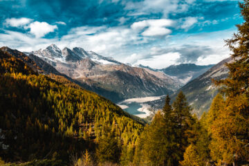 visuale appena usciti dal bosco