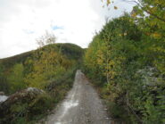 Tratto della lunga sterrata x il Colle San Bartolomeo