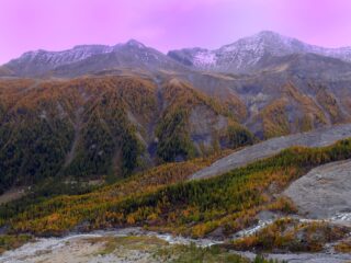 I colori dell'autuno tingono i larici della Val Veny