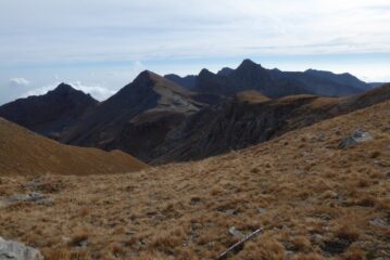 Al colle della Gavia