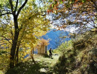 Colori autunnali verso i Vignali.