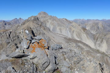 In cima alla Peroni