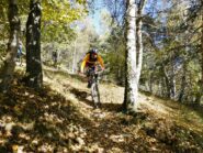 Parte alta del sentiero verso le borgate.