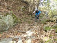 Fondo pietroso costante in discesa.