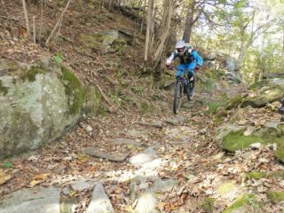 Fondo pietroso costante in discesa.