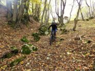 Nel bosco sotto Bergemoletto.
