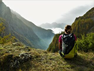 Sopra il bosco, a metà salita.