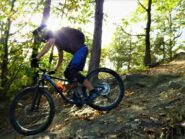 Cuccia trail.