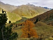 Colori sotto le gr. Antolina.
