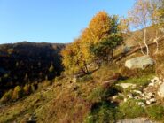 Salendo all'Alpe La Bassa.