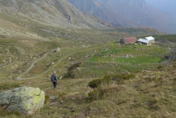 Scendendo all'Alpe Grosso