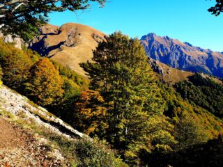 Arrivando al Passo del Gandazzo si vede la salita per il Passo del Toro.