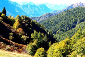 Colori d'autunno nei pressi del Passo del Gandazzo.