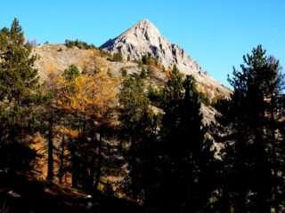 La Cima vista dal termine del bosco.