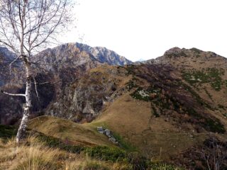 L'Alpe Vallon della Sella da poco sotto la cima.