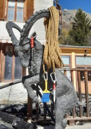 strumenti vari sul paziente caprone