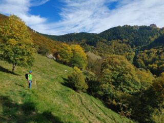 bellissimi colori autunnali sulla via del ritorno