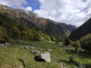 Prati e colori in basso.