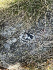 Segnaletica nascosta dall'erba un passo al di sotto del bivio