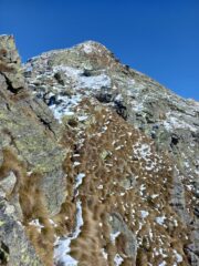 Tratto delicato: ghiaccio e neve!