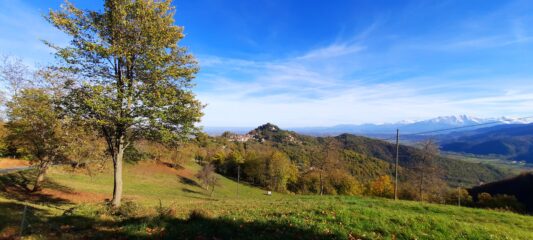 Montemale