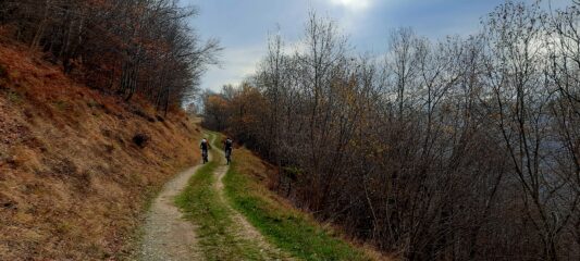 Verso malga della Presa