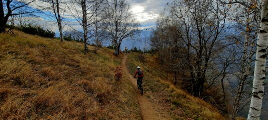 Condizioni del verde perfette